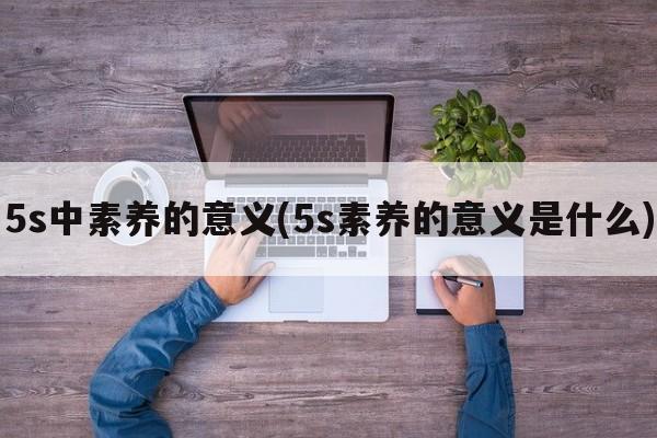 5s中素养的意义(5s素养的意义是什么)